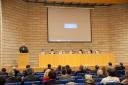 DSC_2462.jpg - 